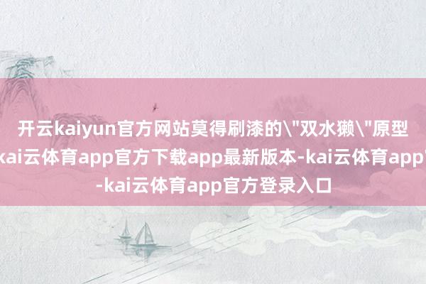 开云kaiyun官方网站莫得刷漆的