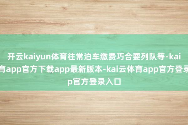 开云kaiyun体育往常泊车缴费巧合要列队等-kai云体育app官方下载app最新版本-kai云体育app官方登录入口